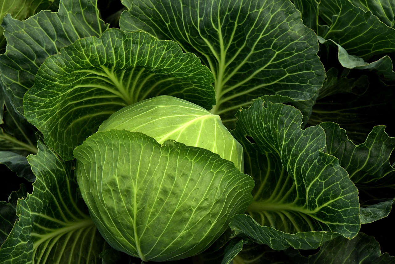 Beslenmede Yeni Çığır: 'Nutrigenomik Adaptasyon' ile Metabolik Esneklik Kazanmak