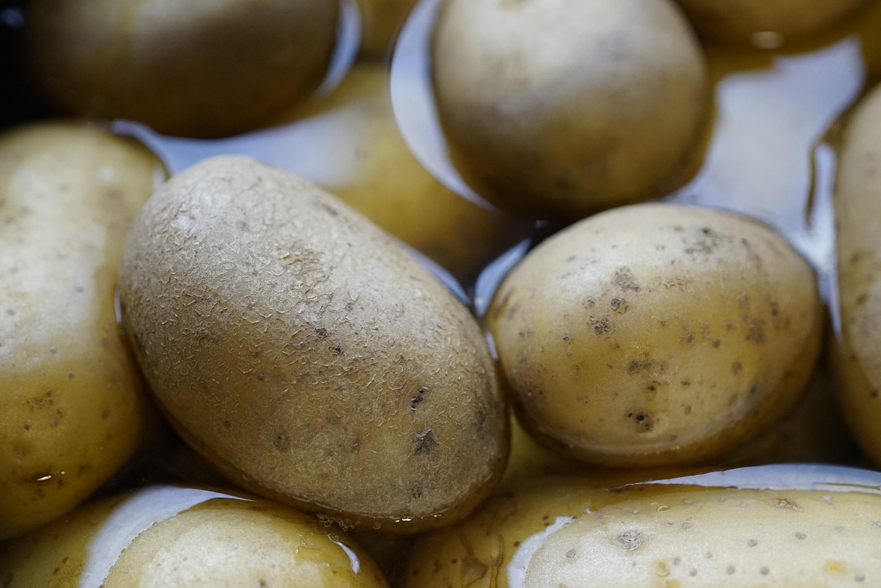 Evdeki Kötü Kokulardan Kurtulmanın 7 Etkili Yolu: Eviniz Her Zaman Mis Gibi Koksun!